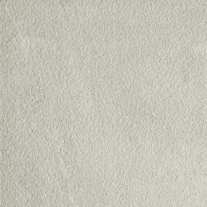 ��&�ɥ����� ������ƥ���(����������) 600��ʿ ��:ARGENTO