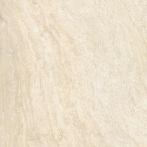 ��&�ɥ����� ���������ȡ��� 800��ʿ ��:NANOVA�����������ʡ�