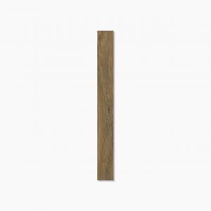 Ƚ Х 1951800 :Irati Roble  ڼ͢ ʡ