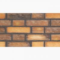 ��&�ɥ����� ƫ�� 60��240�� ��:2 (64458XIS)