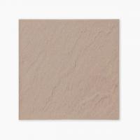 ��&�ɥ����� ������ 300�� ��:6 �ڼ����б��ʡ� (64534XIS)