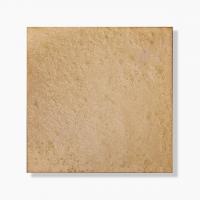 �������� ���饷������ 290�� ���졼������ ��:���ʤ� (64593XIS)