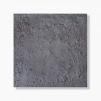 �������� ���饷������ 290�� ���졼������ ��:�������� (64595XIS)