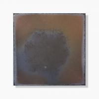 �������� ���饷������ 290�� ���������� ��:�������� (64598XIS)