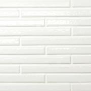 �ɥ����� �ʤ��� 20��200�� �ӥӥåɥ��顼 ��:11 (64682XIS)