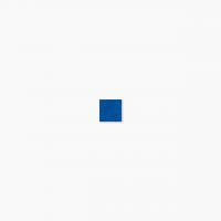 ⥶ 饹⥶ 20 ƻŽ :331 (64928XIS)