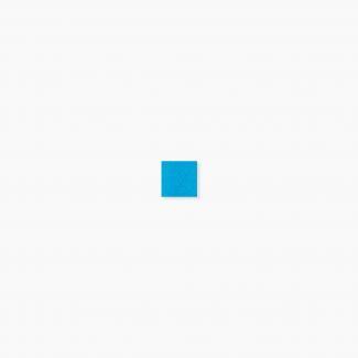 �֥��ɥ�����:�⥶���������� ���饹�⥶���� 20�� ����ƻ�Ž�� ��:323(��1000/�����Ȱʲ�)(64932XIS)