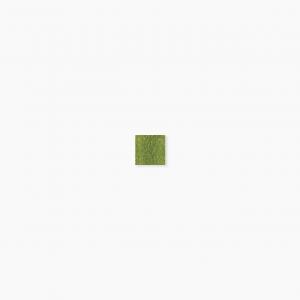 ⥶ 饹⥶ 20 ƻŽ :309