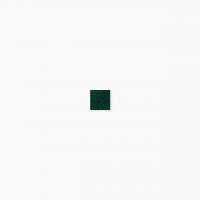 ⥶ 饹⥶ 20 ƻŽ :305 (64946XIS)