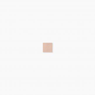 �֥��ɥ�����:�⥶���������� ���饹�⥶���� 20�� ����ƻ�Ž�� ��:366(��1000/�����Ȱʲ�)(64959XIS)