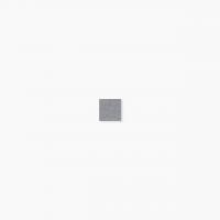 ⥶ 饹⥶ 20 ƻŽ :354 (64971XIS)