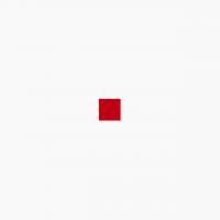 ⥶ 饹⥶ 20 ƻŽ :506 (64979XIS)