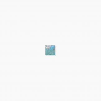 �֥��ɥ�����:�⥶���������� ���饹�⥶���� 20�� ����ƻ�Ž�� ��:640(64994XIS)