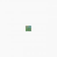 ⥶ 饹⥶ 20 ƻŽ :602 (64995XIS)