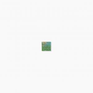 ⥶ 饹⥶ 20 ƻŽ :602