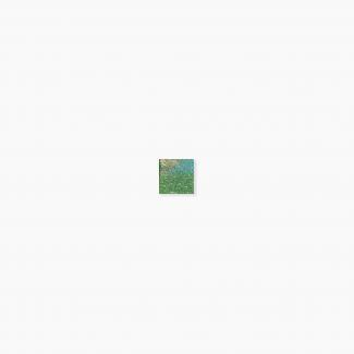 �֥��ɥ�����:�⥶���������� ���饹�⥶���� 20�� ����ƻ�Ž�� ��:602(64995XIS)