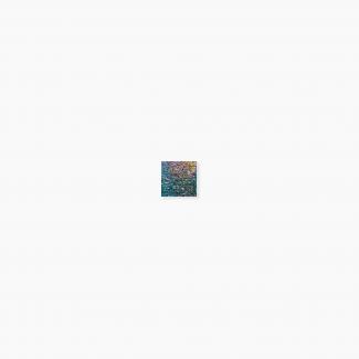 �֥��ɥ�����:�⥶���������� ���饹�⥶���� 20�� ����ƻ�Ž�� ��:655(65000XIS)