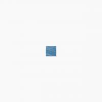 ⥶ 饹⥶ 20 ƻŽ :525 (65004XIS)