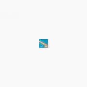 ⥶ 饹⥶ 20 ƻŽ :542 (65010XIS)