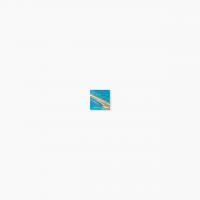 ⥶ 饹⥶ 20 ƻŽ :542 (65010XIS)