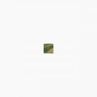 ⥶ 饹⥶ 20 ƻŽ :536 (65020XIS)