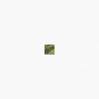 �֥��ɥ�����:�⥶���������� ���饹�⥶���� 20�� ����ƻ�Ž�� ��:536(65020XIS)