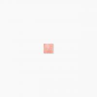 ⥶ 饹⥶ 20 ƻŽ :562 (65028XIS)
