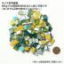 ⥶:륯ե 饹⥶(Х) ॷ ץ졼&å ꡼ 600g(65746JNO)