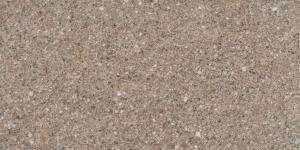 &ɥ 饤ॹ 225x450ʿ :ݥեɥ