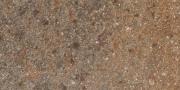 &ɥ 饤ॹ 225x450ʿ :ݥեɥ (65969RVE)