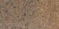 &ɥ 饤ॹ 225x450ʿ :ݥեɥ (65969RVE)