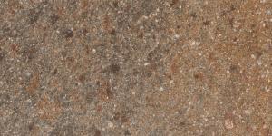 &ɥ 饤ॹ 225x450ʿ :ݥեɥ