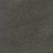 &ɥ ץ饤ޥ 600ʿ ⾲ : (65985RVE)