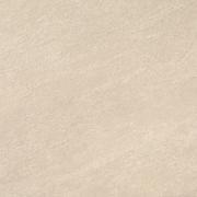  ץ饤ޥ 600ʿ  : (65998RVE)