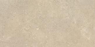 �֥��ɥ�����:��&�ɥ����� �������� 300��600��ʿ �⾲������ ��:���ꥹ(66002RVE)