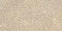 &ɥ  300600ʿ  :ꥹ (66010RVE)