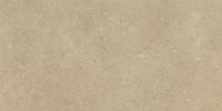 &ɥ  300600ʿ  :֥ (66012RVE)