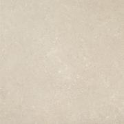 &ɥ  600ʿ  :ꥹ (66014RVE)