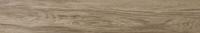 &ɥ  2001200ʿ ⾲ :磻 (66091RVE)