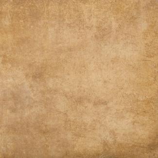 �֥��ɥ�����:��&�ɥ����� ��ߡ� 600��ʿ ��:�ѥ�ץ���(66104RVE)