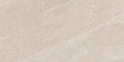 &ɥ  300600ʿ ⾲ :١ (66200RVE)