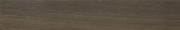 &ɥ ե⥸ 150x900ʿ  :ƥ (66222RVE)