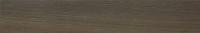 &ɥ ե⥸ 150x900ʿ  :ƥ (66222RVE)