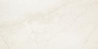&ɥ åȡ 6001200ʿ å ᤭ž夲 :졼 (66287RVE)