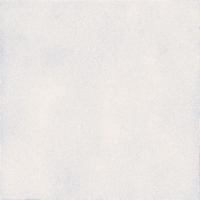 &ɥ  300ʿ :1 (66419NTU)