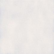 ��&�ɥ����� ������ 300��ʿ �ڥå��� ��:1 (66425NTU)