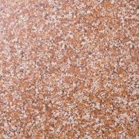 �ɥ����� ���륹����(300��) 300��ʿ ��:C (66441NTU)