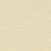 ��&�ɥ����� ���ɥ�֡��� (��)1200��600��ʿ ��:3 (66476NTU)