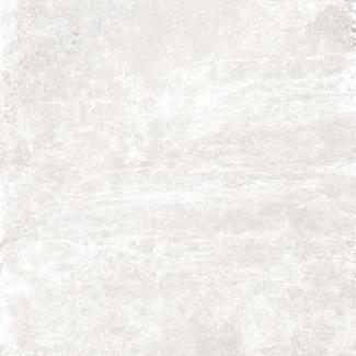 �֥��ɥ�����:��&�ɥ����� ����ǥ��� (��2)600��ʿ ��ѡ��� ��:1(66508NTU)