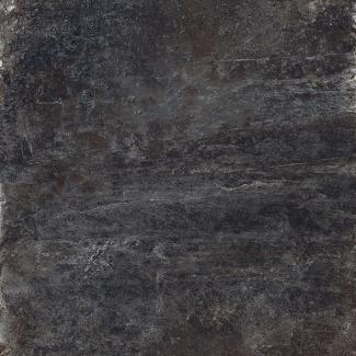 �֥��ɥ�����:��&�ɥ����� ����ǥ��� (��2)600��ʿ ��ѡ��� ��:6(66513NTU)